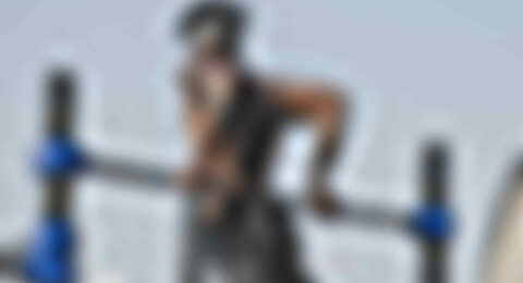 masterstudy_placeholder